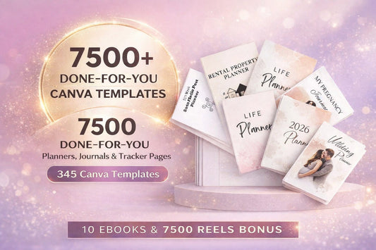 Bundle of numerical models DSP MRR 7500, 2025 2026 numerical models DFY